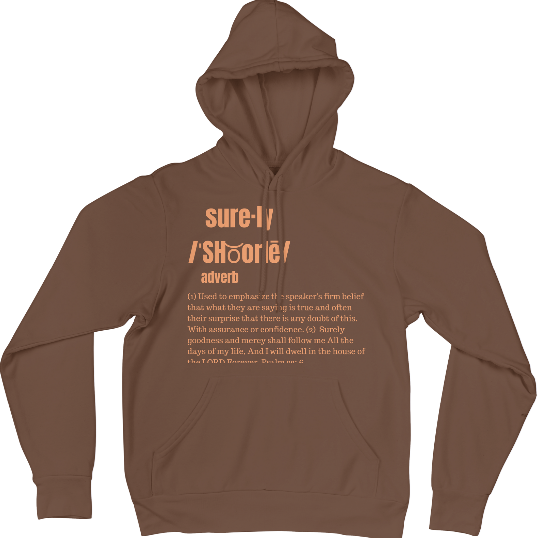 Surely Hoodie (Brown/Tan)